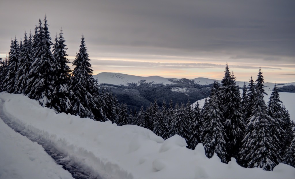 Usor, usor, soarele a reusit sa strapunga norii spre apus