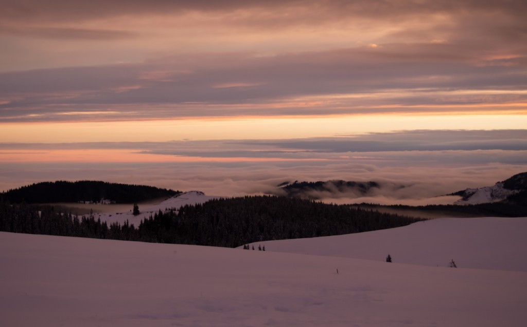 Lumina a trecut usurel prin toate nuantele de violet