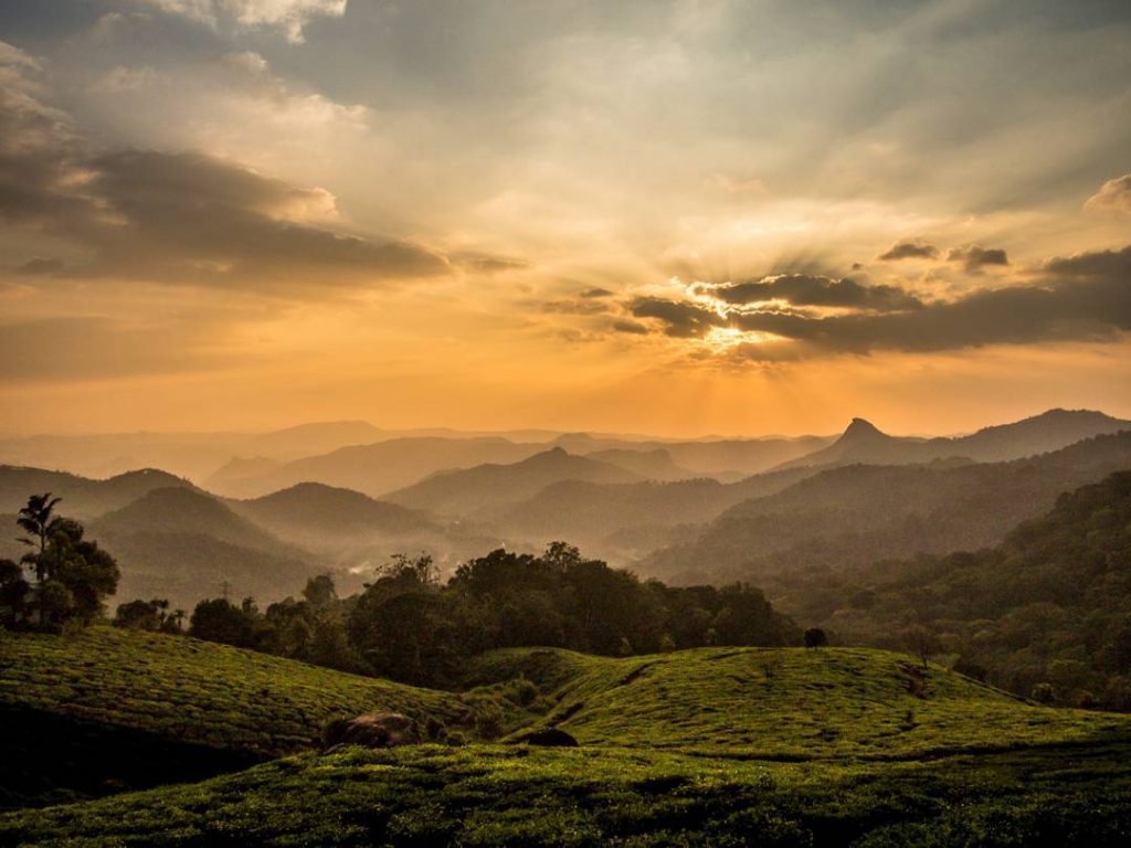 Munnar sunset